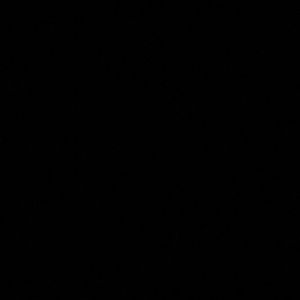 Meet your Posher, Bren